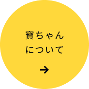 寶ちゃんについて